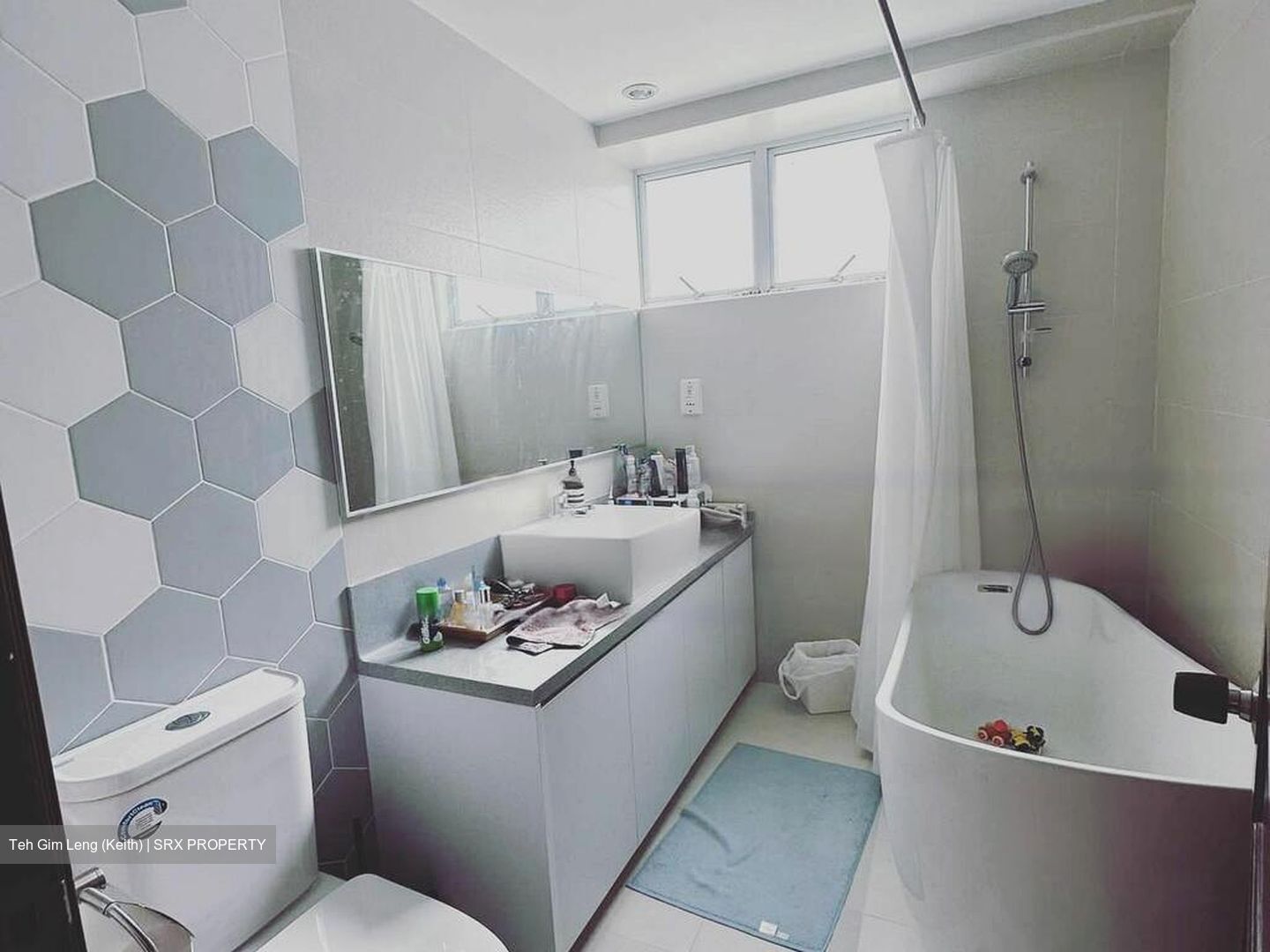 Holland Hill Park (D10), Condominium #458927141